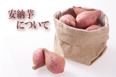 安納芋についての案内の画像
