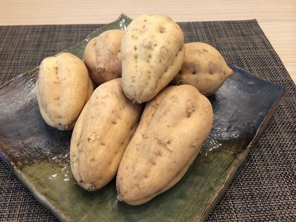 安納こがねＭの在庫画像